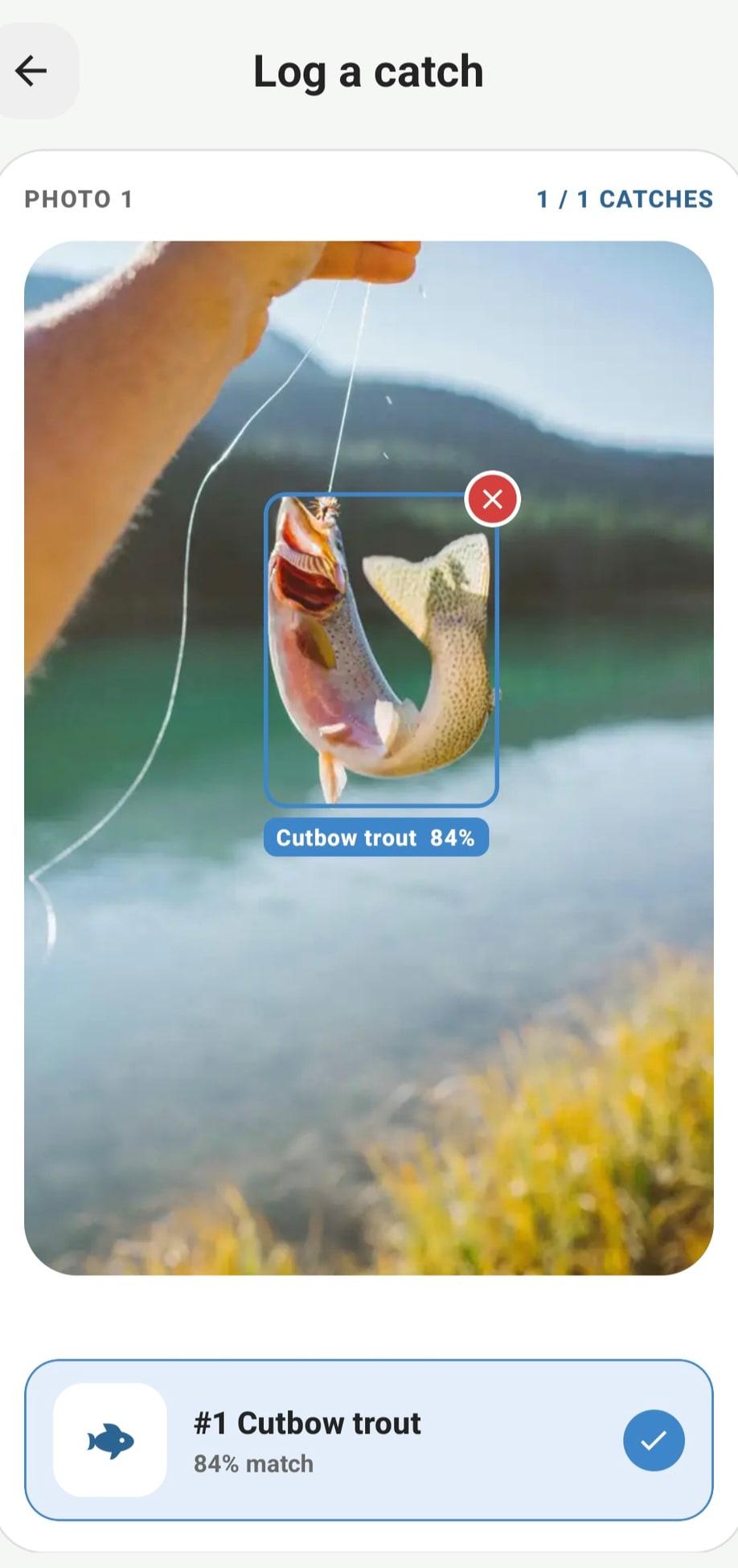 Tacklbox log-a-catch screen identifying a Cutbow trout at 84% match